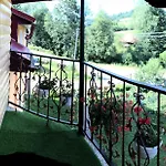 Domashniy Zatyshok
