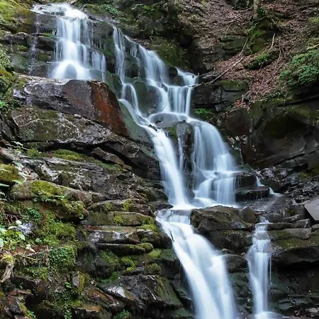 Gasthuis Domashniy Zatyshok