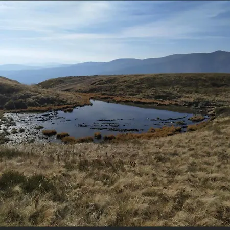 Domashniy Zatyshok * Pilipets