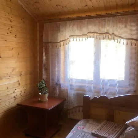 Gasthuis Domashniy Zatyshok *