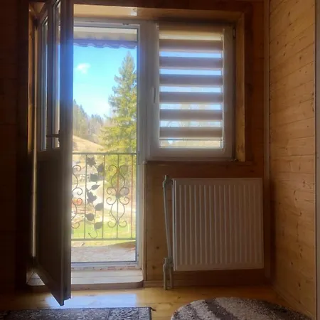 Gasthuis Domashniy Zatyshok