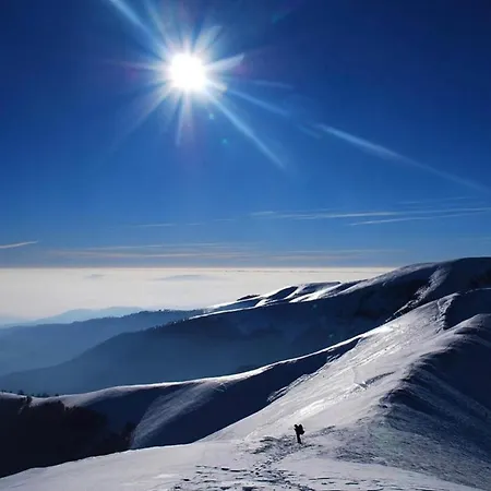 Gasthuis Domashniy Zatyshok *