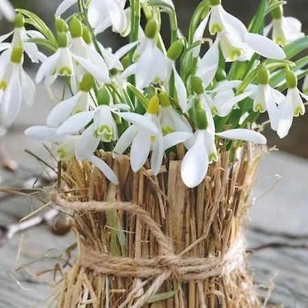 Guest house Domashniy Zatyshok Pilipets