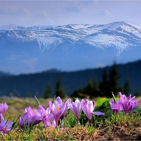 Guest house Domashniy Zatyshok