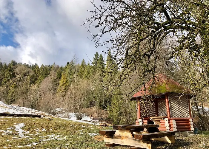 Domashniy Zatyshok Casa de hóspedes
