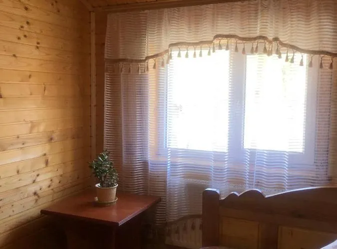 Casa de hóspedes Domashniy Zatyshok *