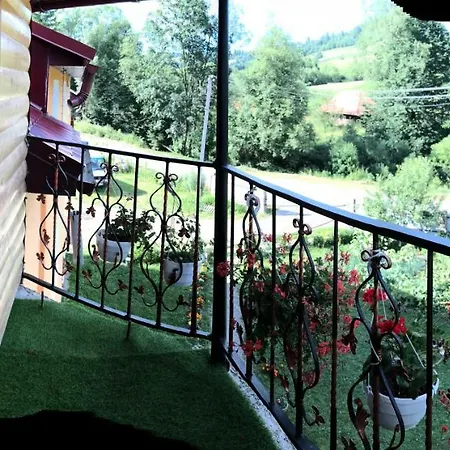 Domashniy Zatyshok