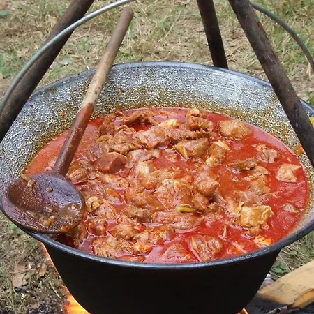 Maison d'hôtes Domashniy Zatyshok