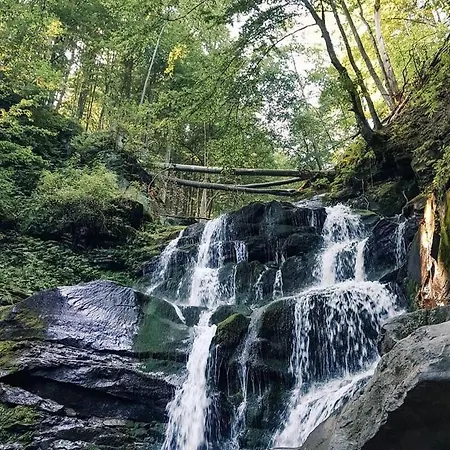 Domashniy Zatyshok * Pilipets